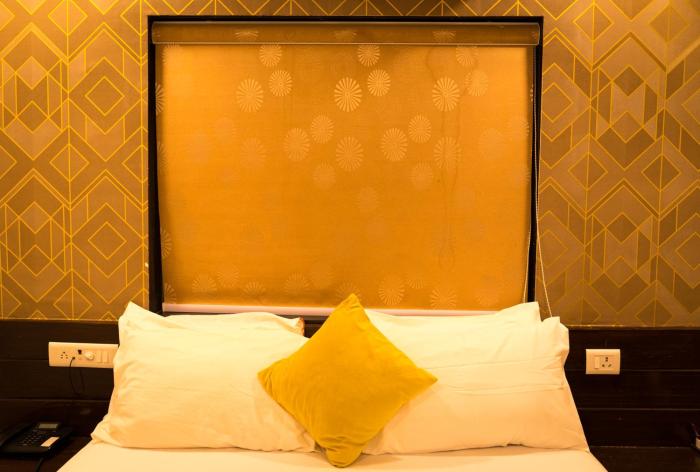 the flamboyant natraj