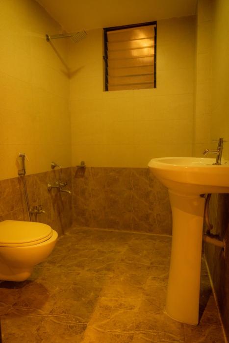 the flamboyant natraj