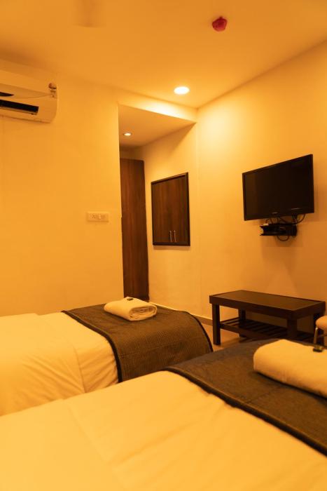 the flamboyant natraj