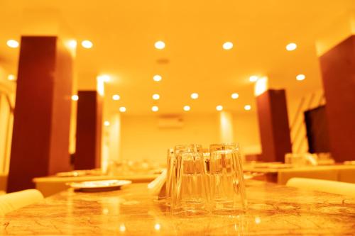 the flamboyant natraj