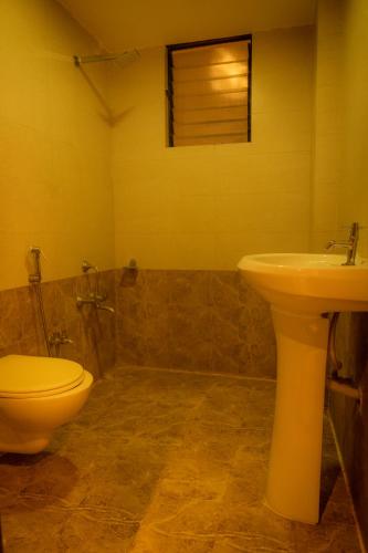 the flamboyant natraj