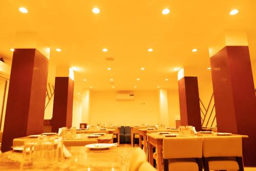 the flamboyant natraj