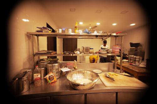 the flamboyant natraj