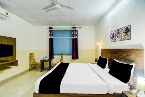 collection o raja park jaipur formerly maan heritage