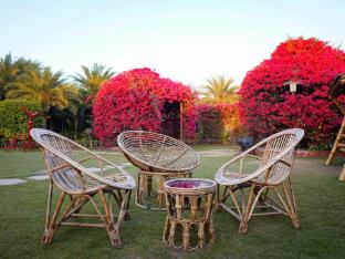 themis mudhouse an ethnic resort