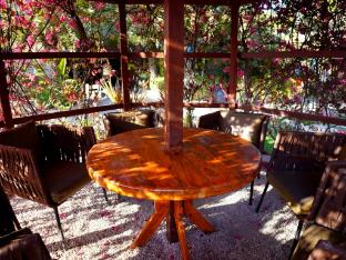 themis mudhouse an ethnic resort