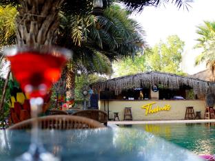 themis mudhouse an ethnic resort