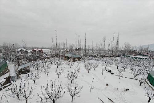 gulmarg orchard