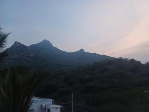 saai residency tiruvannamalai