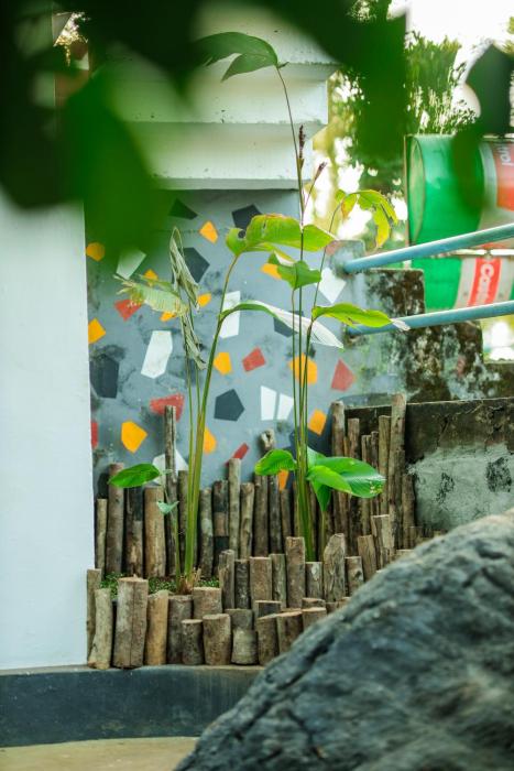 hill rows plantation and forest exp by greenescapes