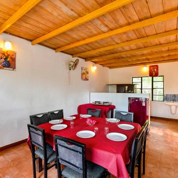 hill rows plantation and forest exp by greenescapes