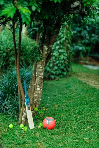 hill rows plantation and forest exp by greenescapes