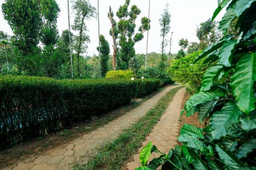 hill rows plantation and forest exp by greenescapes