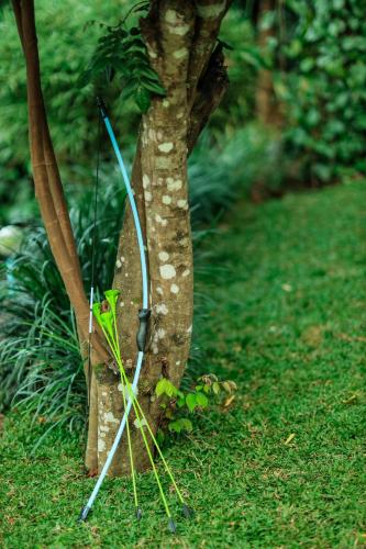 hill rows plantation and forest exp by greenescapes