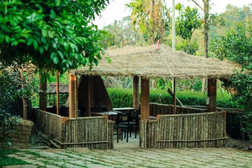 hill rows plantation and forest exp by greenescapes