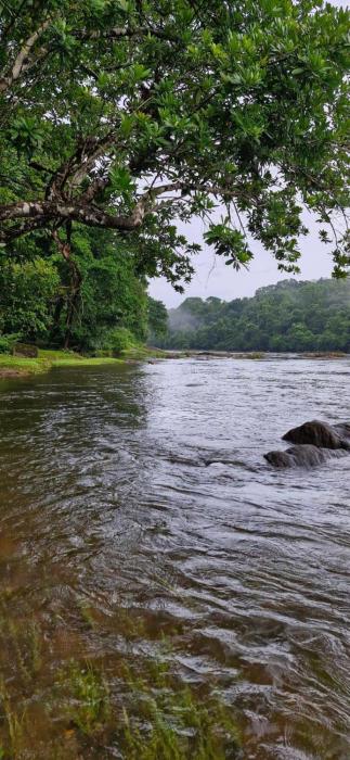 falcon riverview resorts