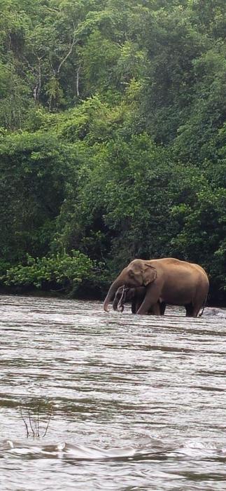 falcon riverview resorts