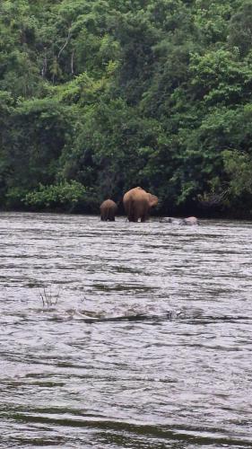 falcon riverview resorts