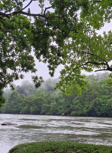 falcon riverview resorts