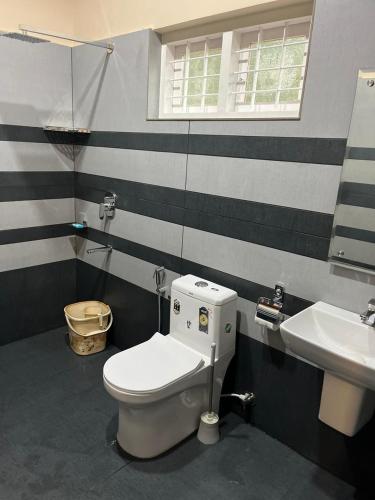 falcon riverview resorts