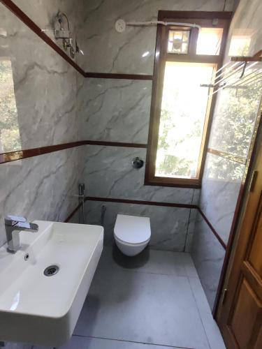 hotel greenland inn hampi