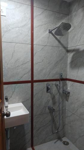 hotel greenland inn hampi