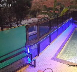 villa bird of paradise