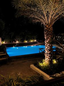 Birds Nest Resort,,4 star