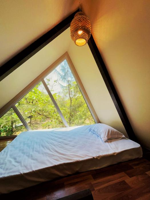 birds nest resort