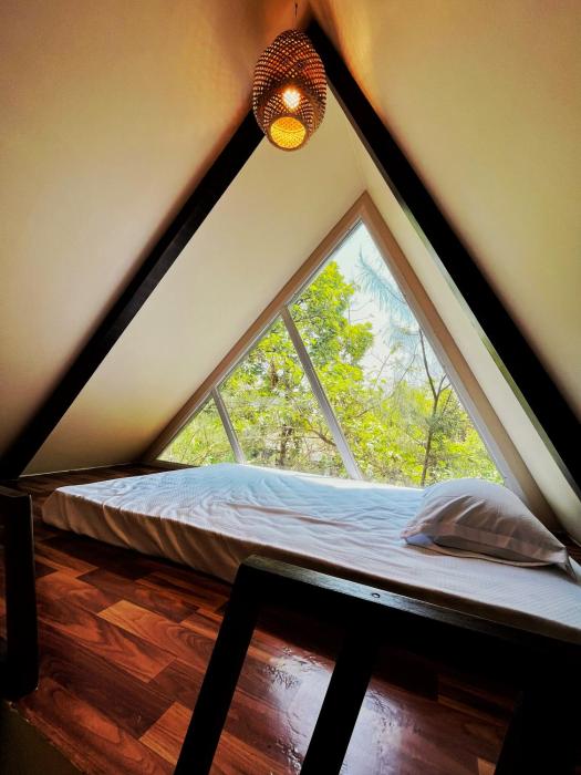 birds nest resort