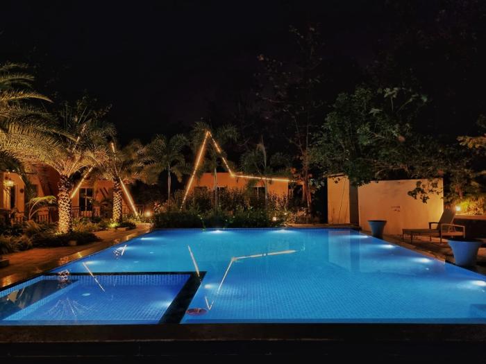 birds nest resort
