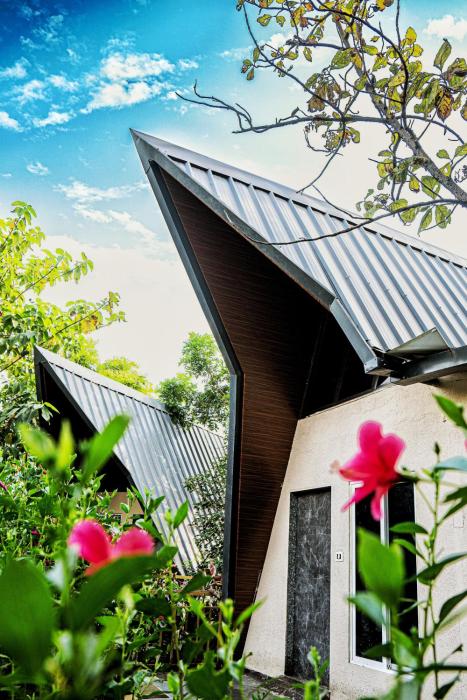 birds nest resort