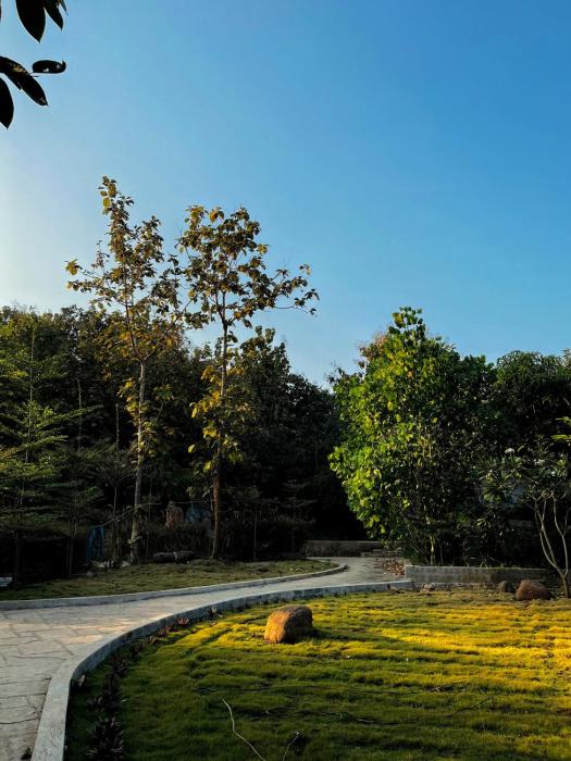 birds nest resort
