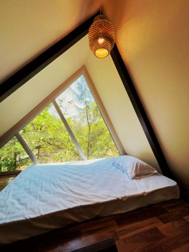 birds nest resort