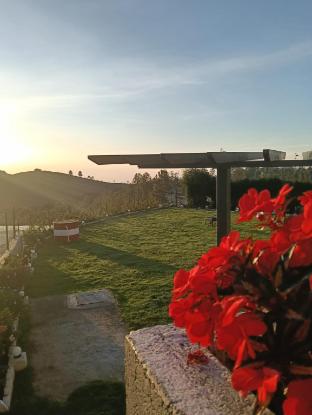 Longwood Resorts,,5 star