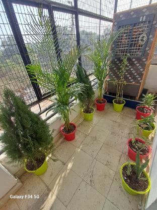 krishnashray home stay