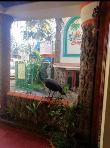 kovalam