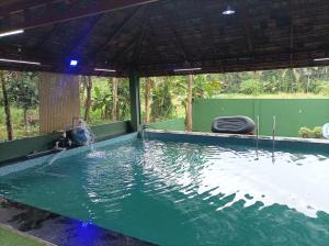thodupuzha