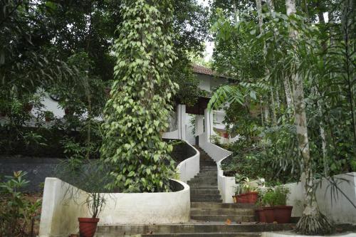 thodupuzha