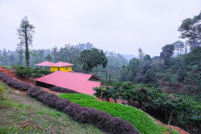 velvet oasis cottages