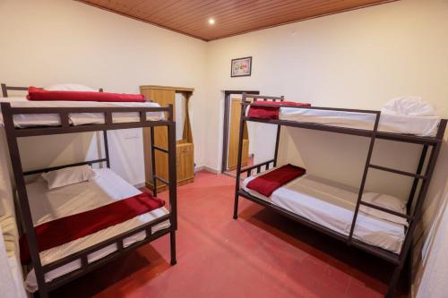 velvet oasis cottages