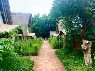 the imagination auroville