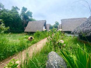 the imagination auroville