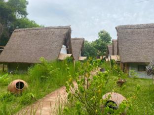 the imagination auroville