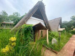the imagination auroville