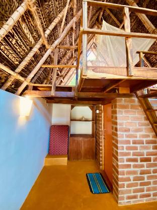 the imagination auroville
