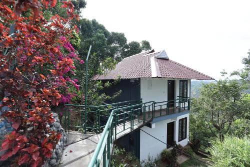 lazo golden valley resort