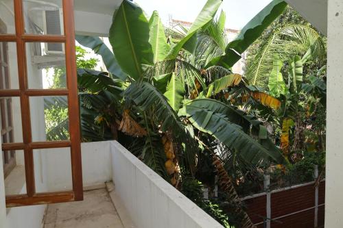la villa le bonheur