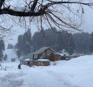 nagview cottage gulmarg