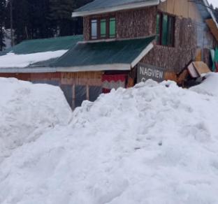 nagview cottage gulmarg